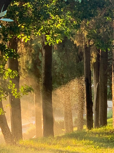 Wie schlafen wir im Sommer?